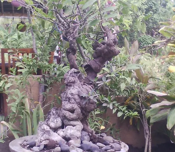 Frühstückspension Bali Relax's Homestay And Cafe